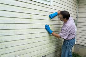 Professional Siding Services in Isle Of Palms, SC